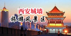 性插入免费视频网站中国陕西-西安城墙旅游风景区